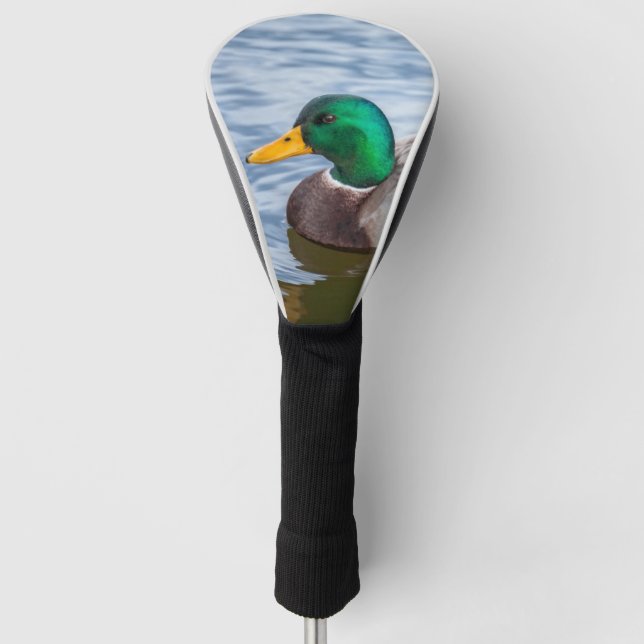 Couvre-club De Golf Mallard Duck (Devant)