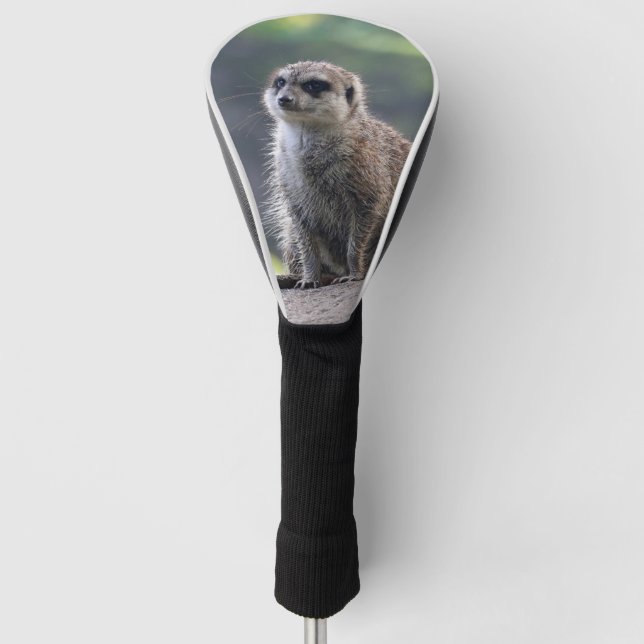 Couvre-club De Golf Meerkat_2019001 (Devant)