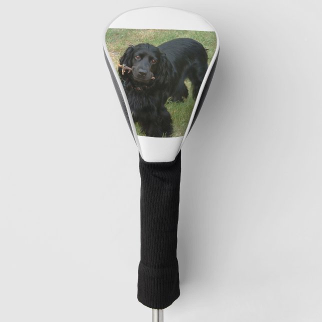 Couvre-club De Golf noir anglais cocker spaniel plein 2 (Devant)