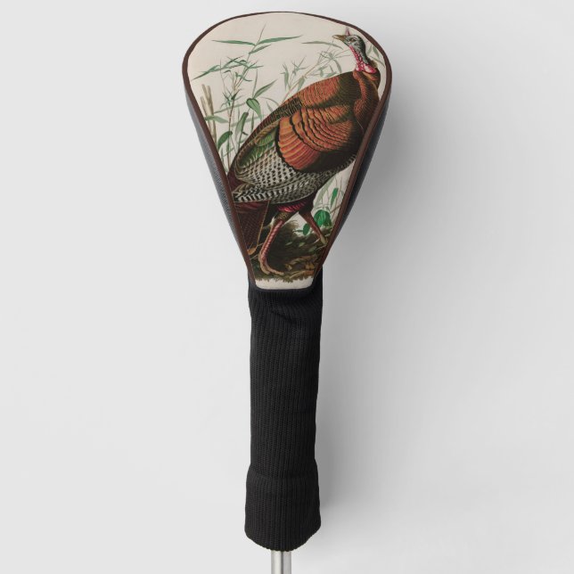 Couvre-club De Golf Oiseaux sauvages de Turquie d'Amérique Audubon Imp (Devant)