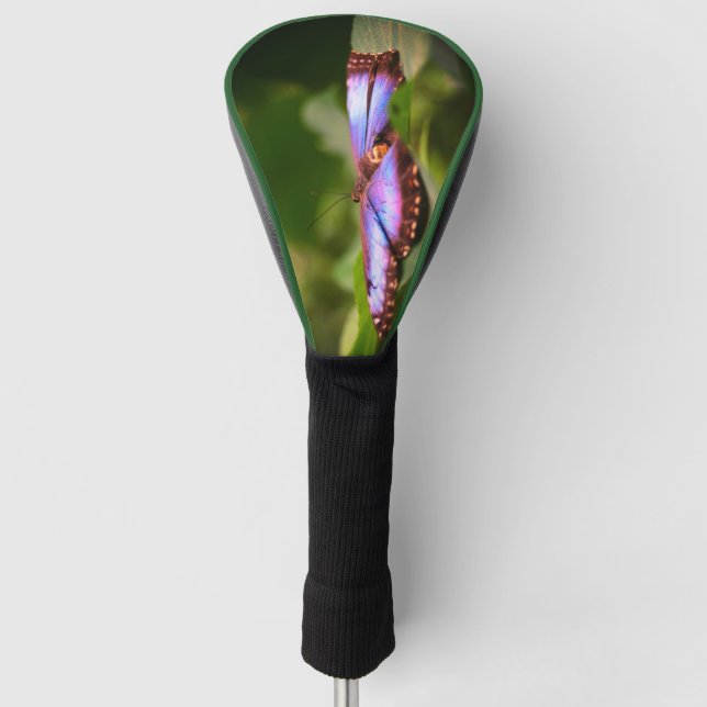 Couvre-club De Golf Papillon Bleu Nature Fermer Tint Haut (Devant)