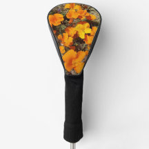 Pavots de Californie