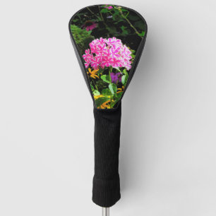 Couvre-club De Golf Peppermint Twist Phlox dans le jardin des fleurs