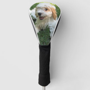 Couvre-club De Golf Photo Cavachon customisée, Chien