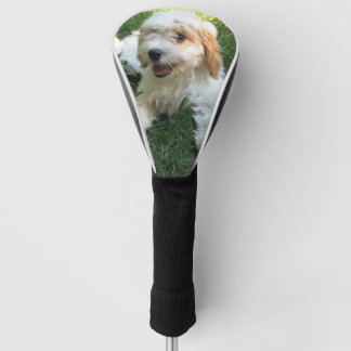 Couvre-club De Golf Photo Cavachon customisée, Chien
