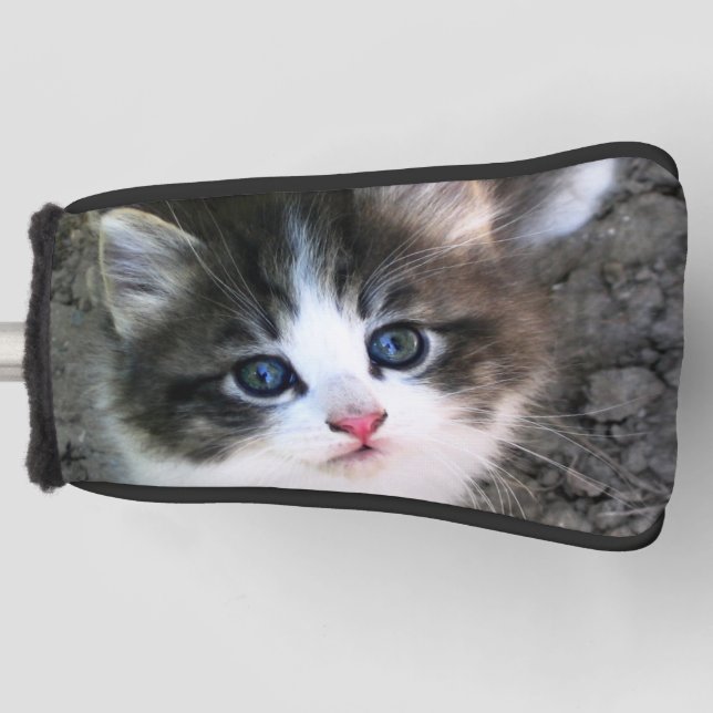 Couvre-club De Golf Photo de chat Super Cute Kitten (Devant)