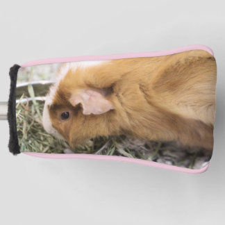 Couvre-club De Golf Piggy Golf Head Couverture