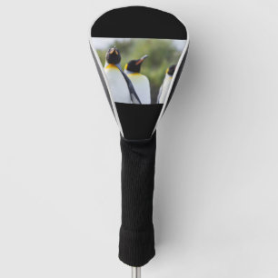 Couvre-club De Golf Pingouins rois