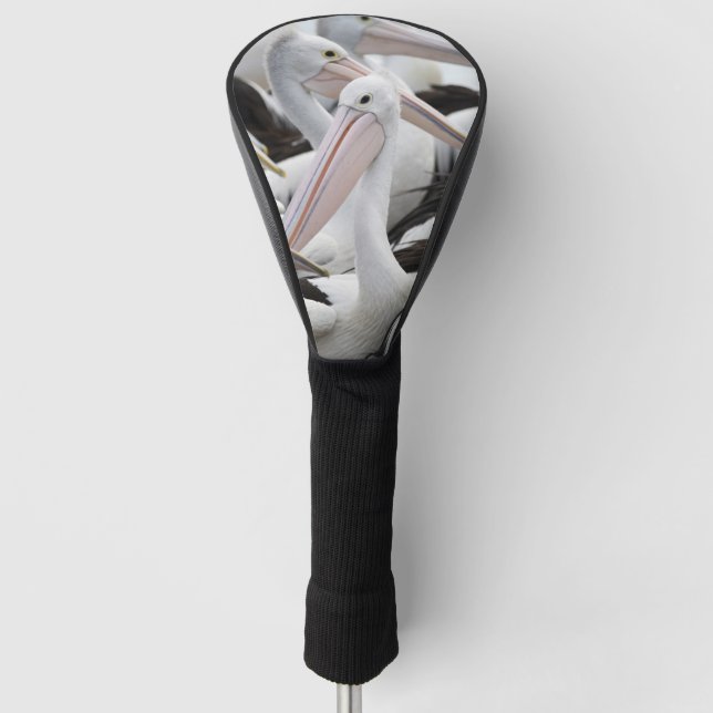 Couvre-club De Golf Pod pélican (Devant)