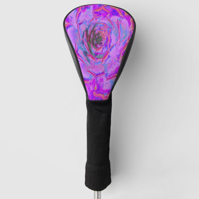 Couvre-club De Golf Rosette Succulente pourpre et magenta (Devant)