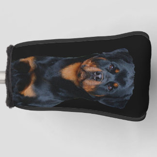 Couvre-club De Golf Rottweiler
