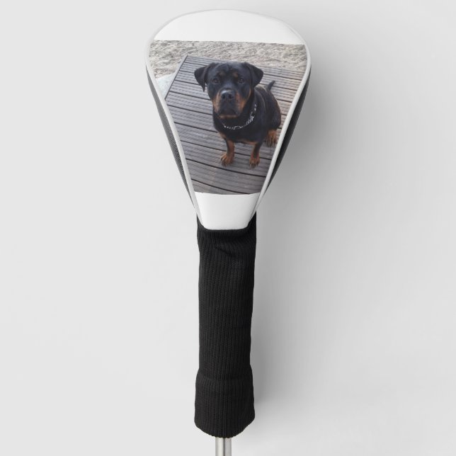 Couvre-club De Golf rottweiler à la plage (Devant)