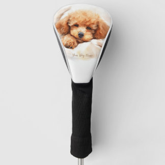 Couvre-club De Golf Super mignon ange dormant chiot Poodle Dog 003