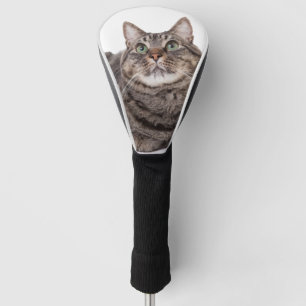 Couvre-club De Golf Tabby Gris