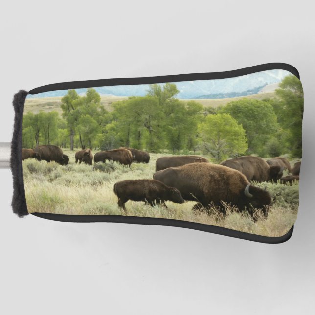 Couvre-club De Golf Wyoming Bison Nature Animal Photographie (Devant)