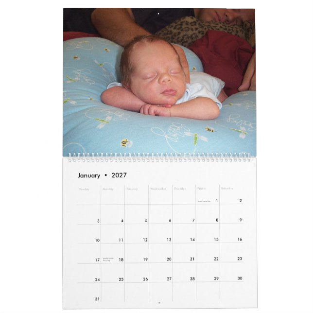 cover, A Year of Teddy Calendar (Jan 2027)