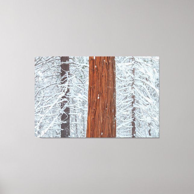 Covered  canvas print (Front)