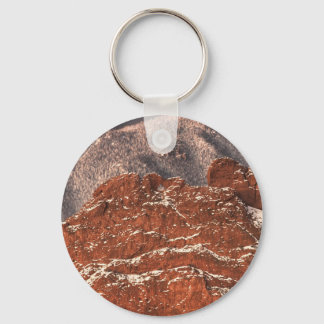 Covered in Snow Keychain