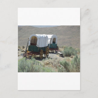Covered Wagons Postcard