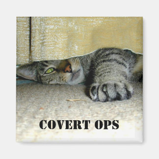 Covert ops magnet