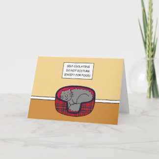 Covid 19 Self-isolation Cartoon Cat Sleeping Card