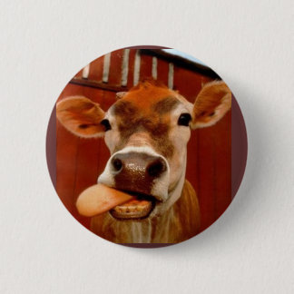 cow 2 inch round button
