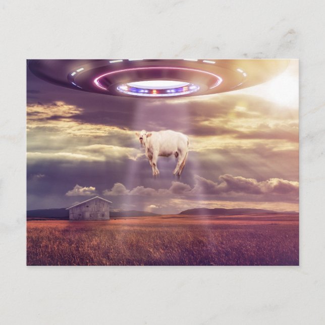 Cow Abducted by Aliens Fantasy Art Postcard (Front)