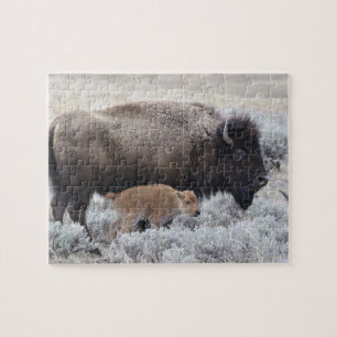 Cow and Calf Bison, Yellowstone 2 Jigsaw Puzzle