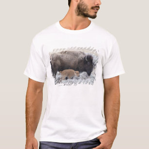 Cow and Calf Bison, Yellowstone T-Shirt