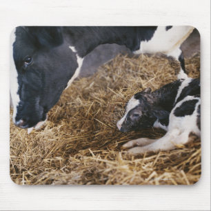 Cow and Calf in Hay Mouse Pad
