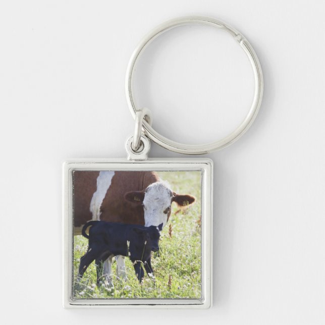 Cow and calf keychain (Front)
