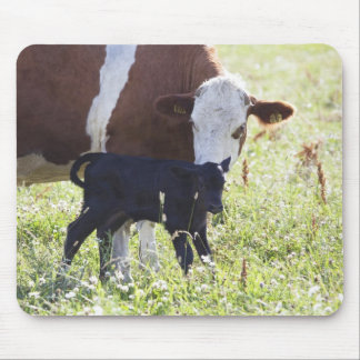 Cow and calf mouse pad