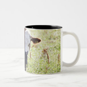 Cow and calf Two-Tone coffee mug