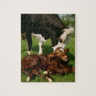 Cow and newborn calf jigsaw puzzle
