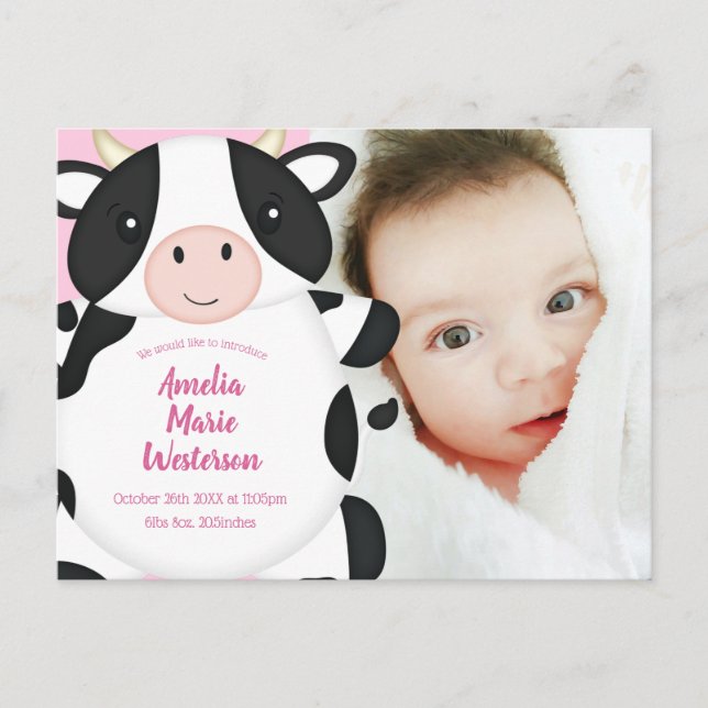 Cow Baby Shower Pink Postcard (Front)