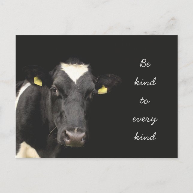 Cow || Be Kind to every kind Postcard (Front)