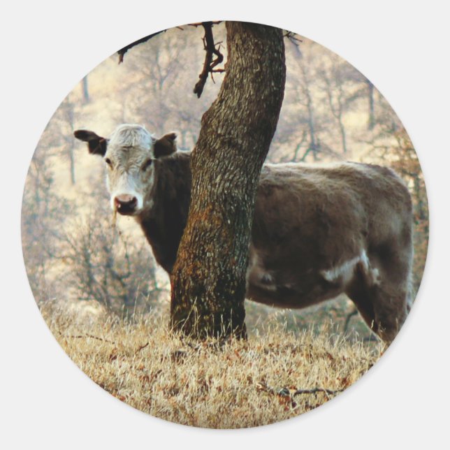 Cow behind Tree Classic Round Sticker (Front)