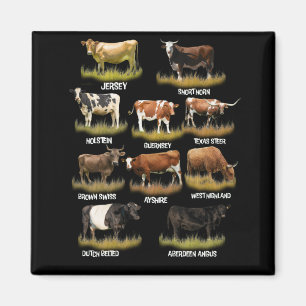Cow Breeds Retro Farmer Beef and Dairy Graphic Magnet