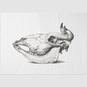 Cow Bull Skull Side Decoupage Vintage Farm Ranch Tissue Paper