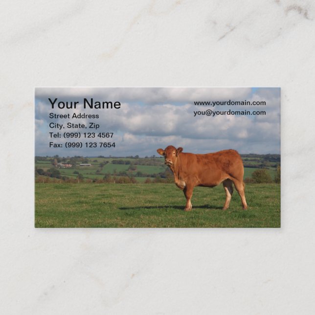 Cow Business Card (Front)