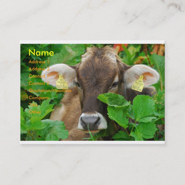 Cow Business Card (Front)