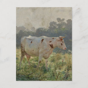 Cow by Emile Claus Postcard