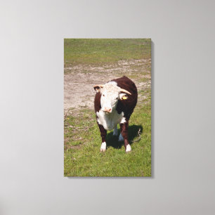 Cow canvas print