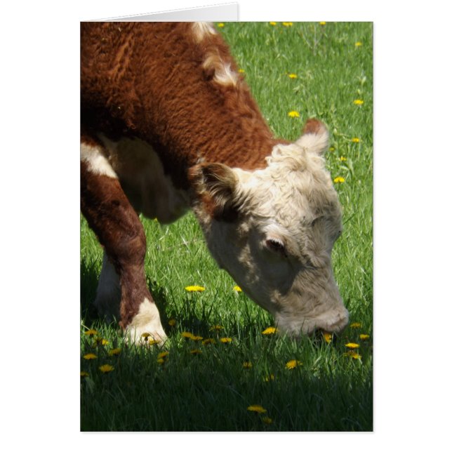 Cow Card (Front)