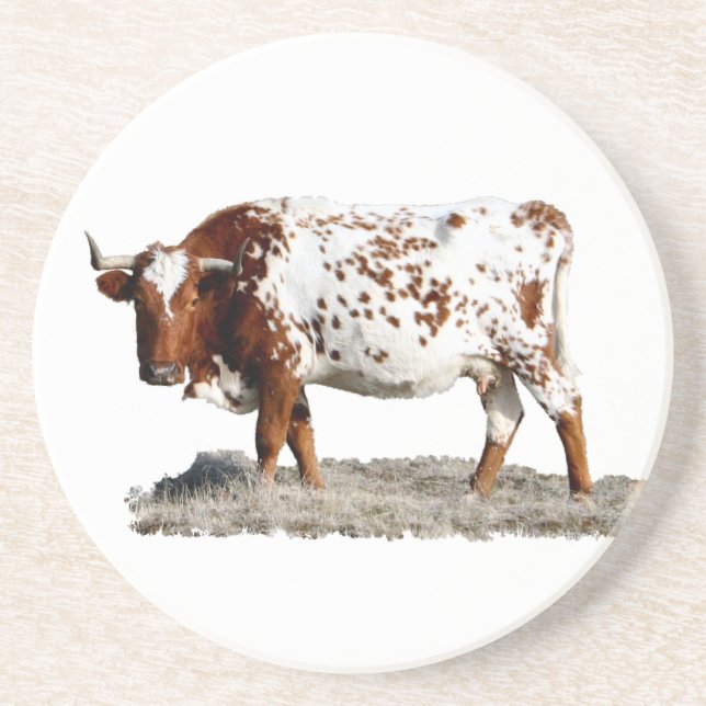 COW COASTER (Front)