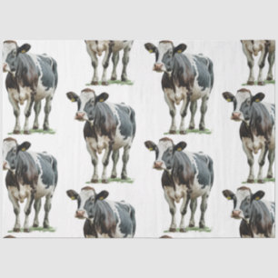 Cow Country Black and White Tissue Paper