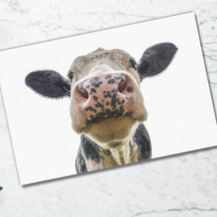 Cow Cute Farm Animal  Tissue Paper