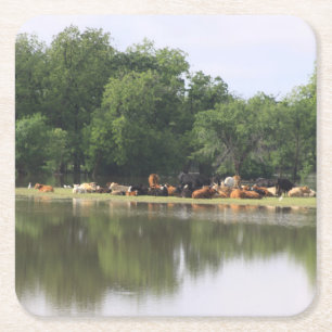 Cow Drink Coaster