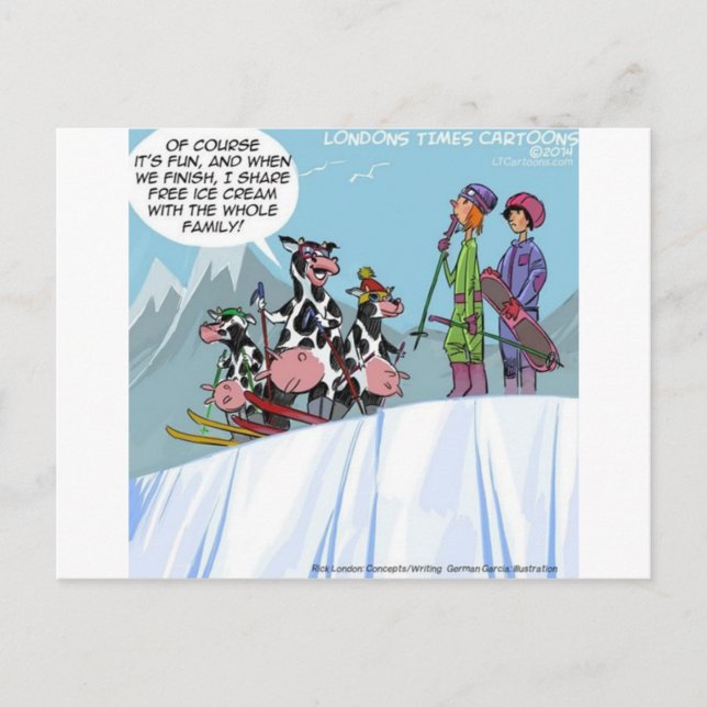 Cow Family Snow Skiing Funny Postcard (Front)