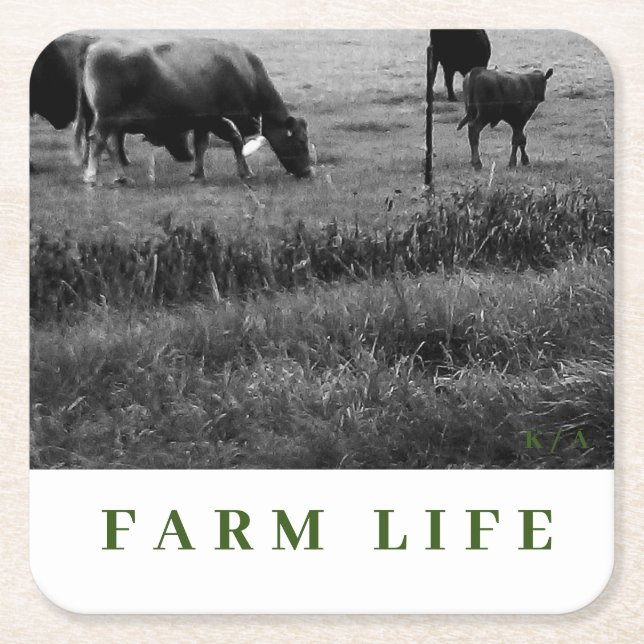 Cow Family Theme Drink Coasters (Front)
